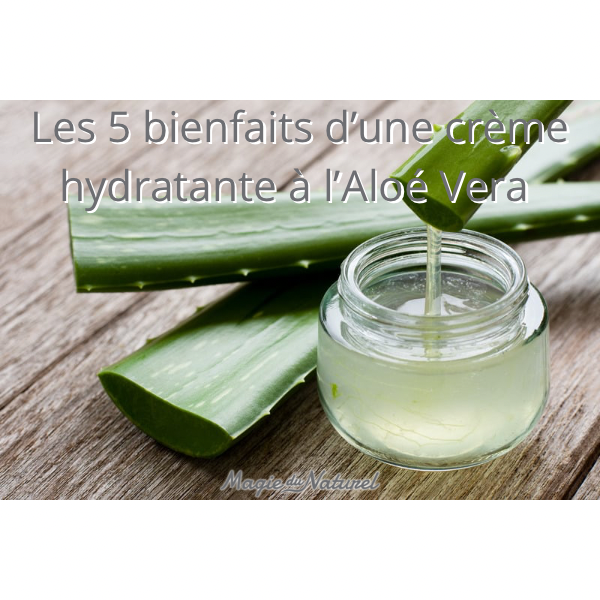Die 5 Vorteile einer Aloe Vera Feuchtigkeitscreme  La Magie du Naturel